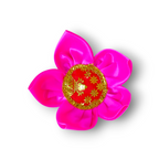 Lotus Asan 8x8